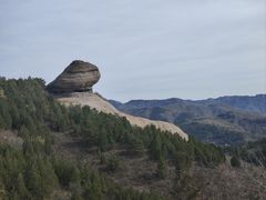 -磬锤峰森林公园