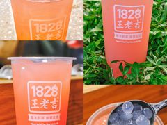 -1828王老吉·草本新茶(珠江新城地铁站店)