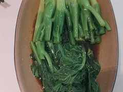 -避风塘(江桥万达店)
