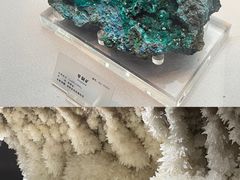 -湖南省地质博物馆