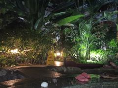 -南宫五洲植物乐园