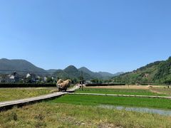 -绩溪龙川景区