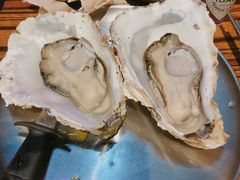 -蚝堡海鲜·威海菜·海肠捞饭·烧烤·亚洲吃蚝公司(幸福门店)