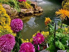 -杭州植物园