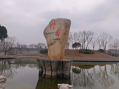-朴园