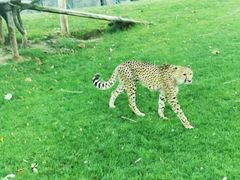 -北京野生动物园