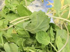 -金鼎雪山牦牛杂火锅(理县总店)