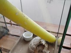 -春晖园度假酒店温泉