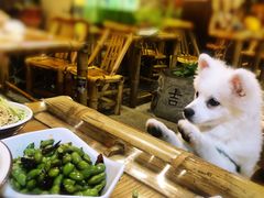 -可可大虾武汉土菜大排档(万松园1店)