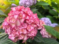 -常州古运河南大街文化旅游区-人民公园