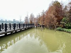 -海珠湖公园