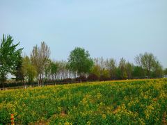 -汉长安城未央宫国家考古遗址公园