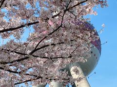 -东方明珠广播电视塔