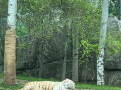 -北京野生动物园