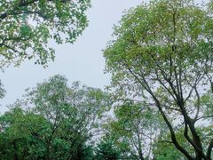 -洨河生态公园
