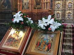 -滴血救世主教堂