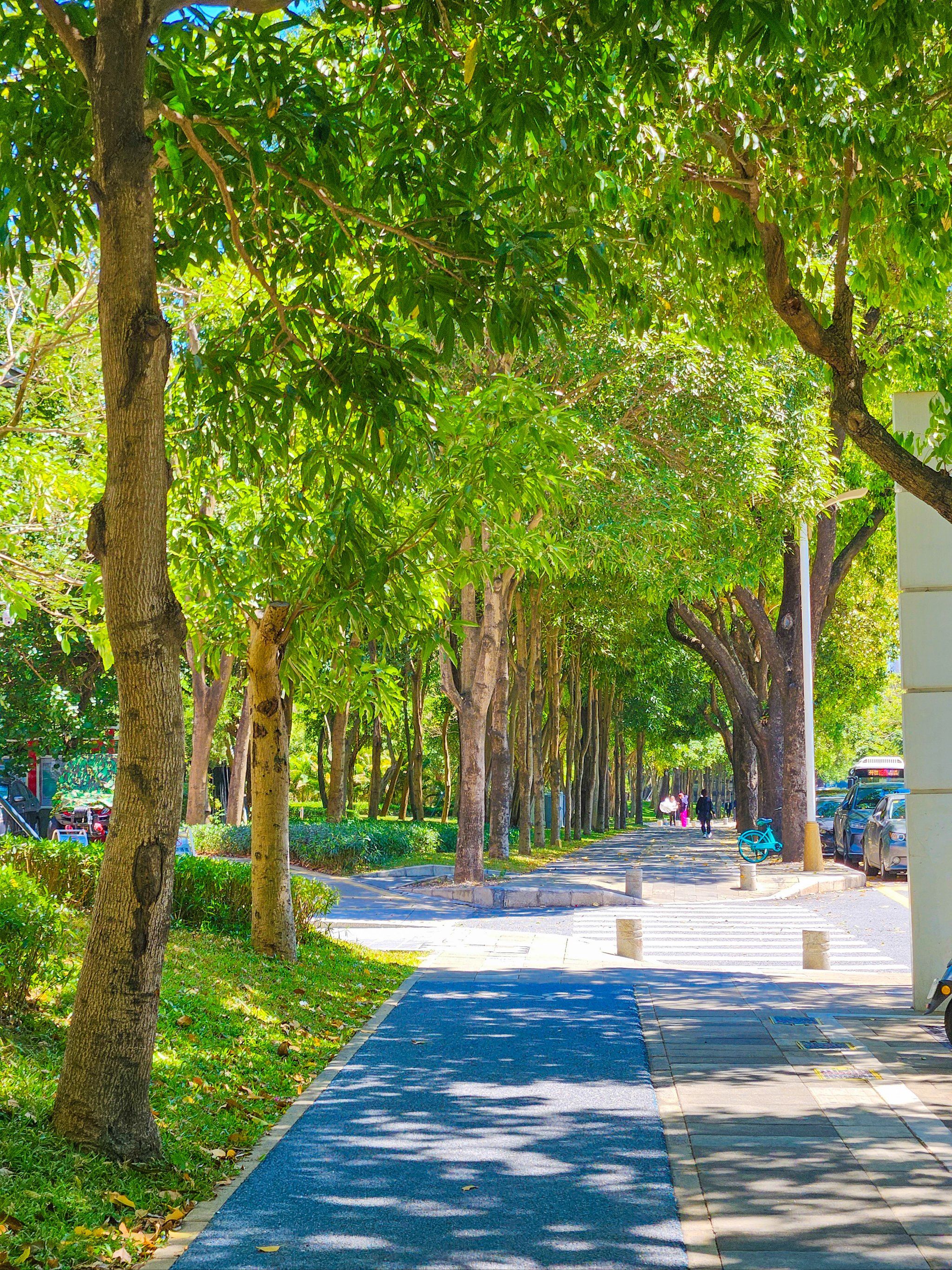 路边发现的免费拍照92绝绝子森系文艺小清新风景