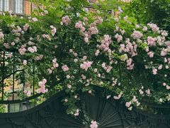 -常熟路(地铁站)