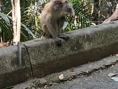 -麦里芝蓄水池