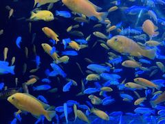 -成都浩海立方海洋公园