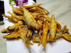 -鹭岛新泉客家菜·海鲜·融合菜(莲前店)