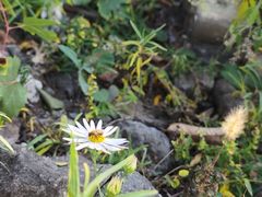 -蟠龙山长城景区