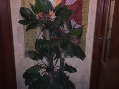 -Together·泰式按摩精油SPA(天山店)