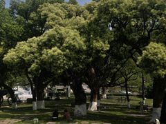 -Helens海伦司小酒馆(王家湾人信汇店)