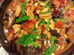 -金龙寨(解西店)