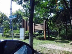 -马陆小张葡萄园农家乐