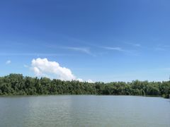 -大湾区中央湿地公园