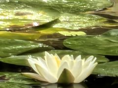 -杭州黄龙洞