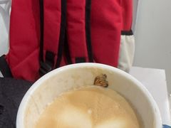 -喵的天空名猫咖啡馆·撸猫·猫舍·用品