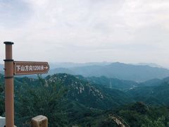 -大岭沟猕猴桃谷风景区