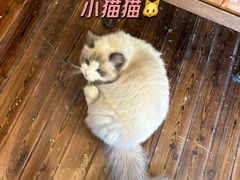 -小魚花店