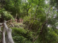 -西安祥峪森林公园
