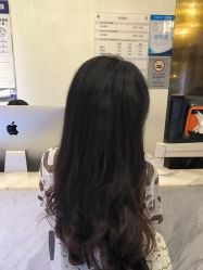 -YESIDO椰岛造型