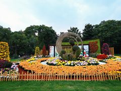 -上海共青森林公园