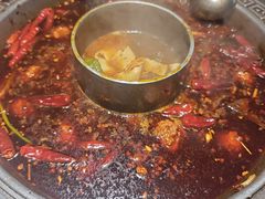 -杨肥肠火锅大排档(火车站花园店)
