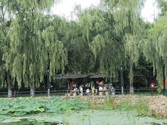 -黛秀湖公园