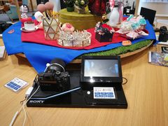 -Sony Store索尼(广州正佳店)