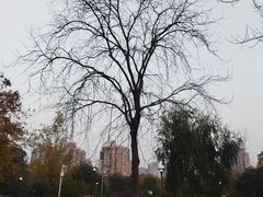 -沙河三洞古桥公园