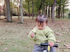 -八爪矩阵极限运动馆·儿童平衡车·感统训练(南海子公园校区)