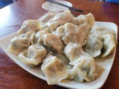 猪肉茴香饺子-启子大馅饺子