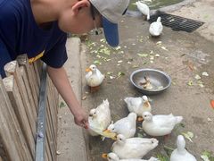 -保定市动物园