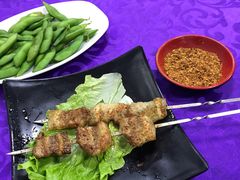 -神碳烧烤东北秘制串(东城路店)
