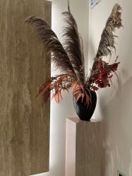 -娜芙缇缇med spa