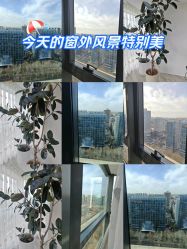 -HEYAN荷妍专业脱毛连锁机构