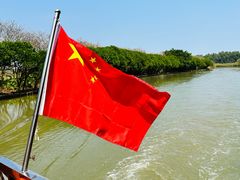 -大湾区中央湿地公园