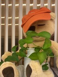 -恩舍瑜伽普拉提